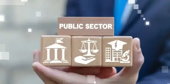 Government & Public Sector